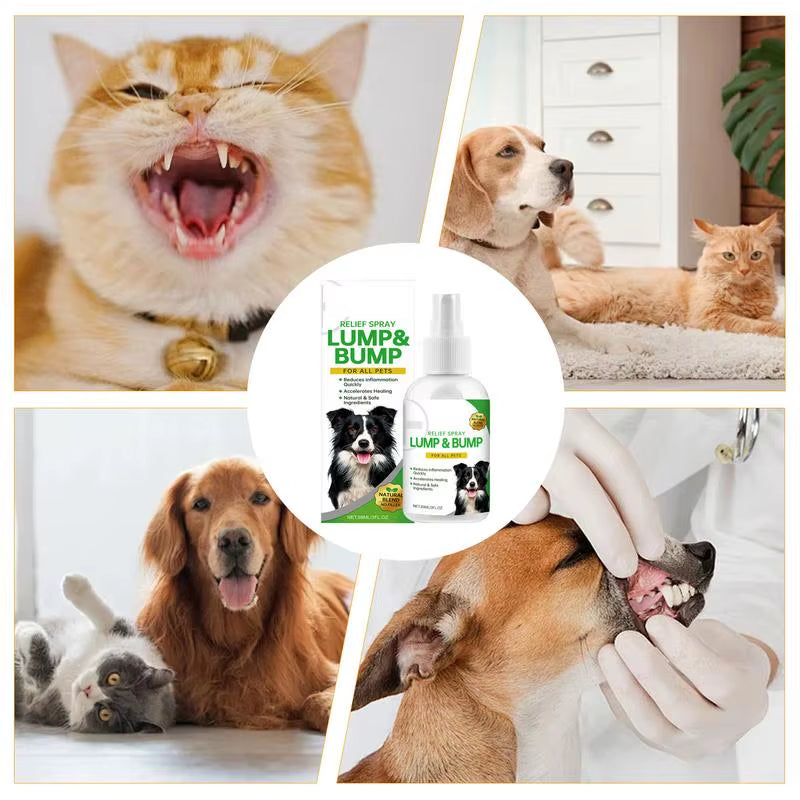 Scratchaway™ Anti-Itch Spray for Dogs – Instant Relief, Happy Skin, Healthier Pups