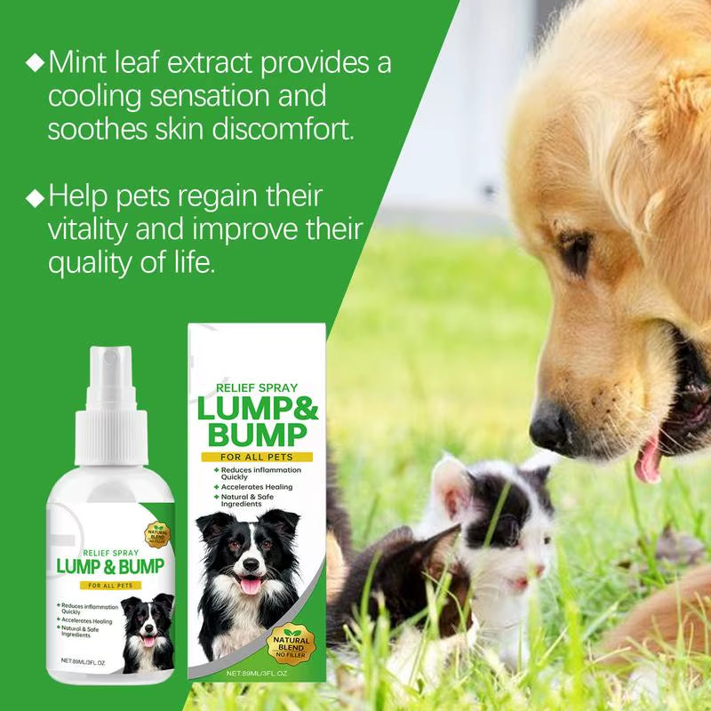 Scratchaway™ Anti-Itch Spray for Dogs – Instant Relief, Happy Skin, Healthier Pups