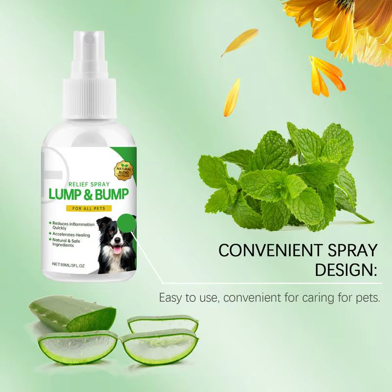 Scratchaway™ Anti-Itch Spray for Dogs – Instant Relief, Happy Skin, Healthier Pups